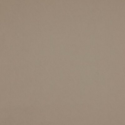 Simplicity swatch