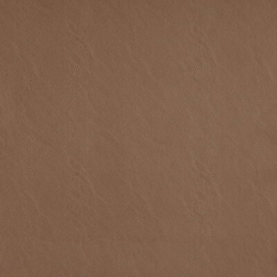 Simplicity swatch