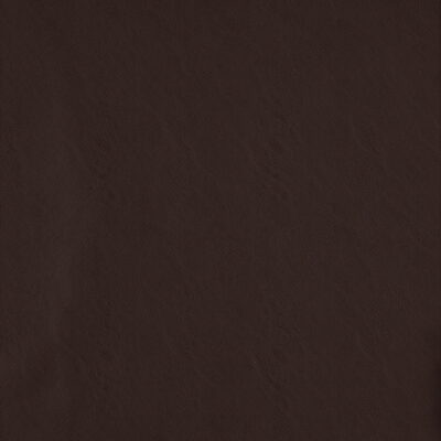 Simplicity swatch