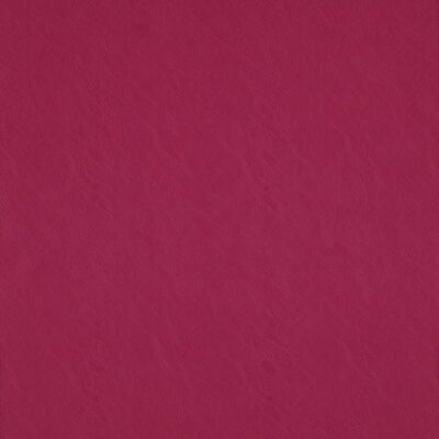 Simplicity swatch