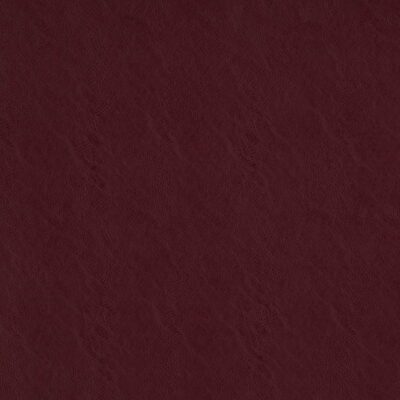 Simplicity swatch