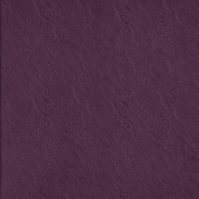 Simplicity swatch