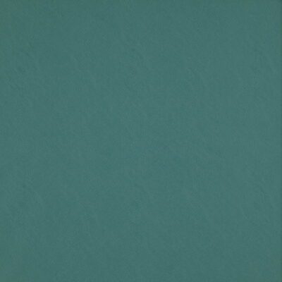 Simplicity swatch