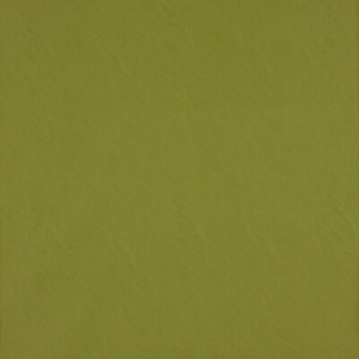 Simplicity swatch