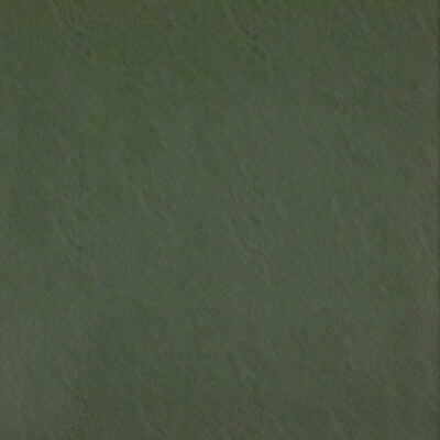 Simplicity swatch