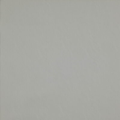 Simplicity swatch
