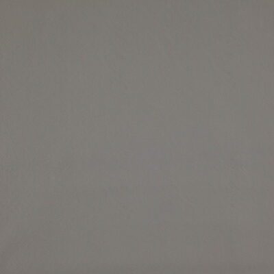 Simplicity swatch