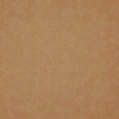 Trivia swatch