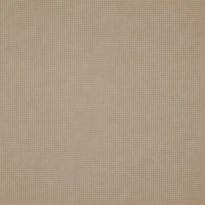 Trivia swatch