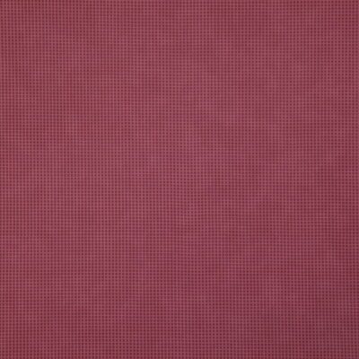 Trivia swatch