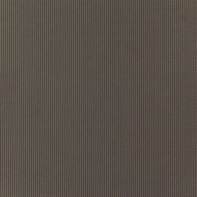 Trivia swatch