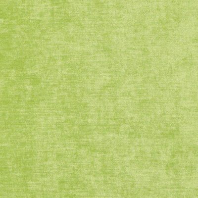 Revival swatch