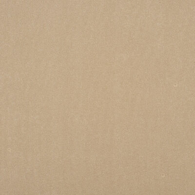 Algonquin swatch
