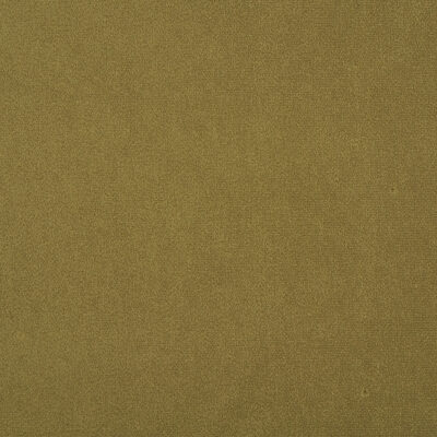Algonquin swatch