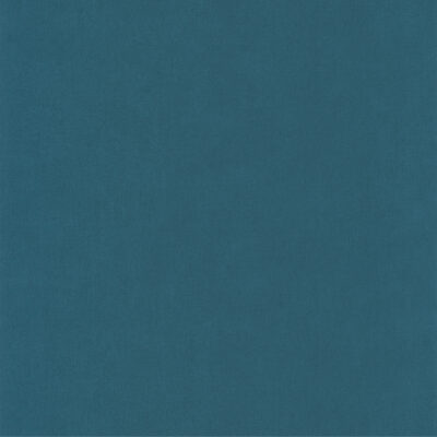 Arn64526060 swatch