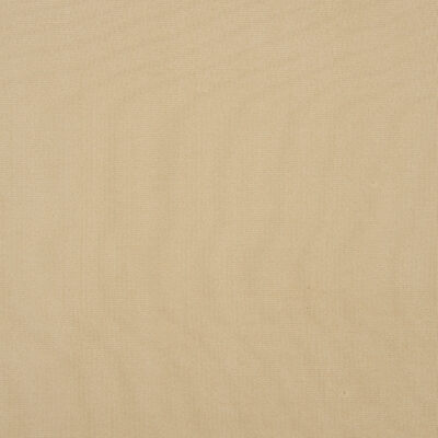 Burlington swatch