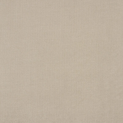 Burlington swatch