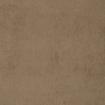 Campbell swatch
