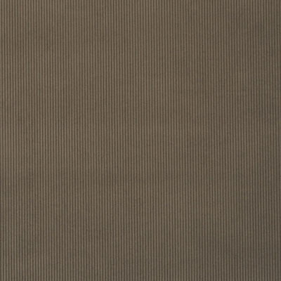 Campbell swatch
