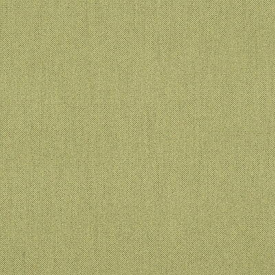 Ezra swatch