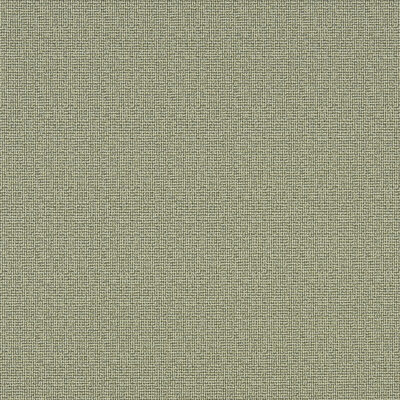 Napanee swatch