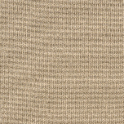 Napanee swatch