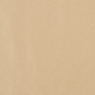 Theodore swatch