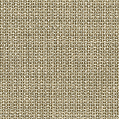 8171 swatch